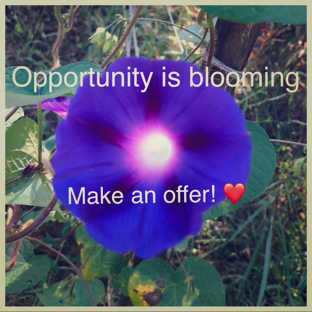 Make an offer!